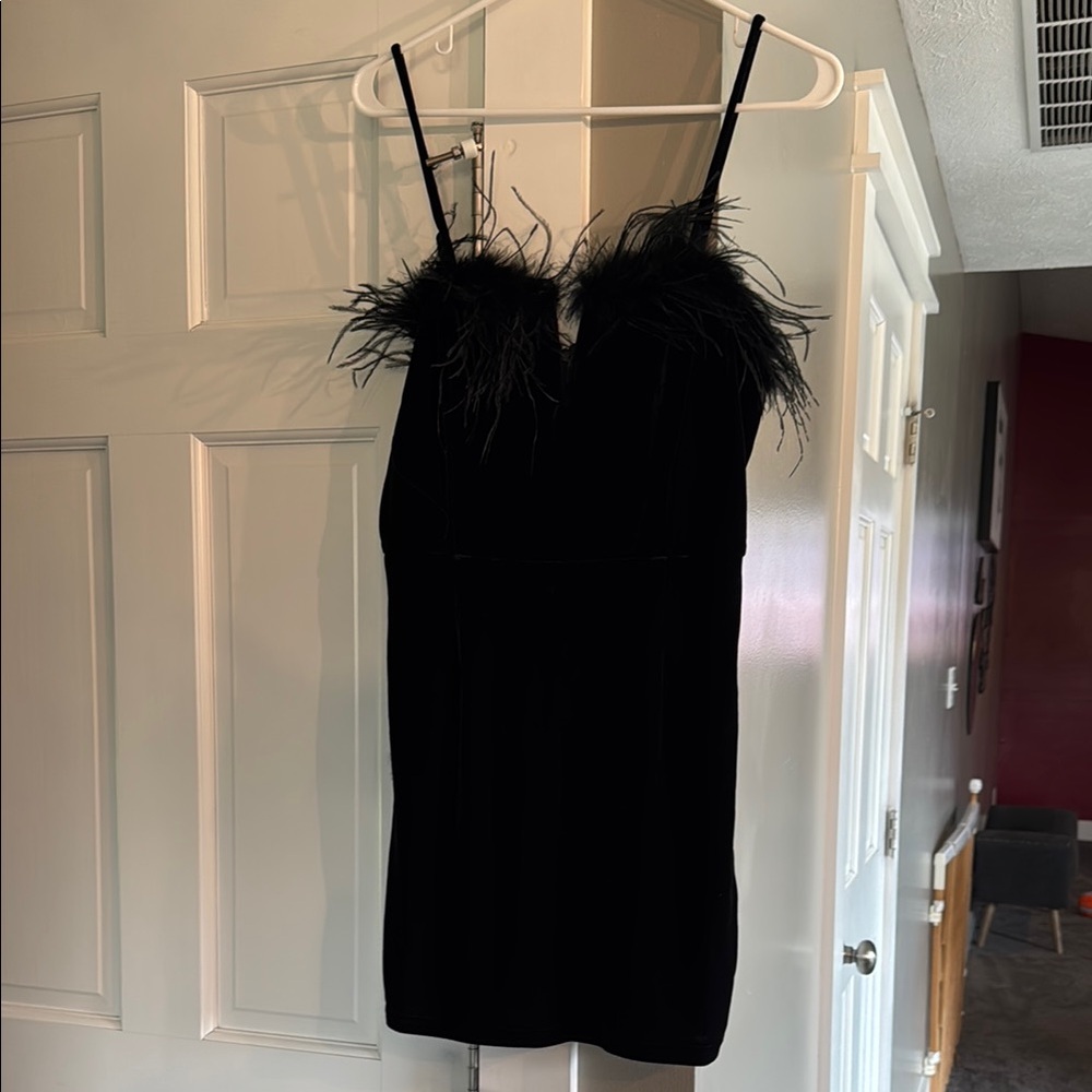 Black Velvet Feather Trim Dress
